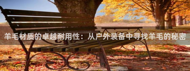 新宝注册gg平台