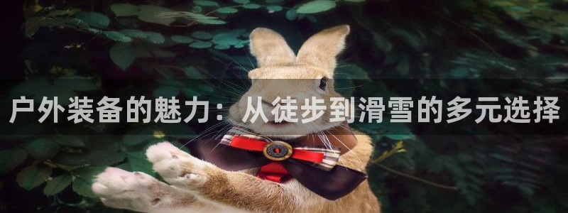 新宝Gg测速地址