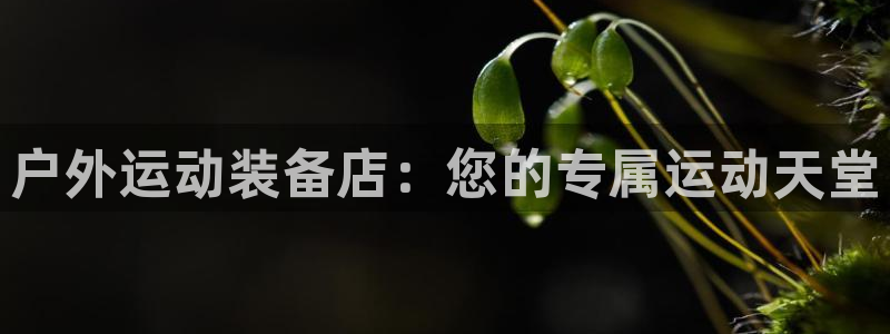 新宝gg佣金