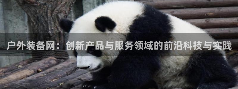 新宝gg登录新