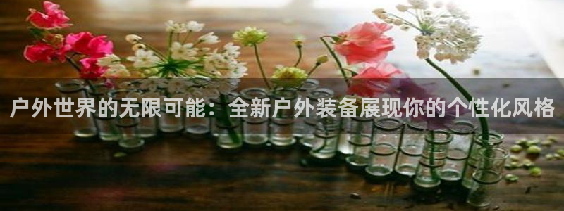 新宝gg代理注册