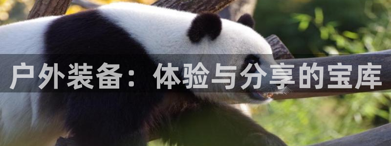 新宝gg平台开户