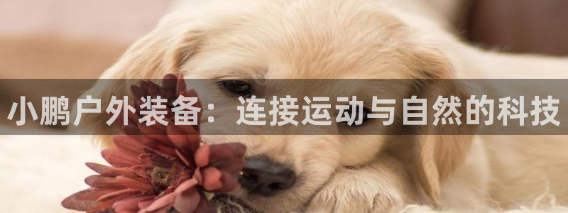 新宝gg登陆新