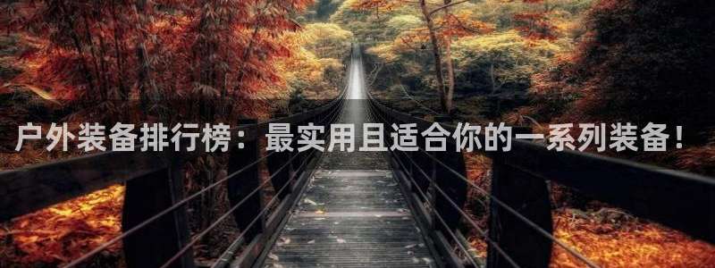 新宝 gg 下载
