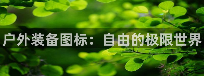 新宝gg客户端下载