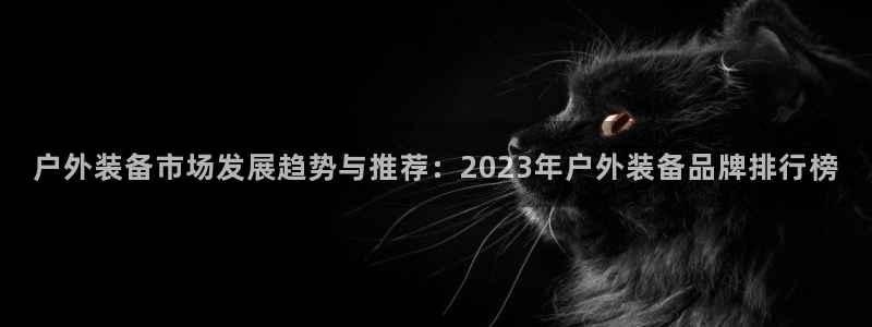 新宝gg推荐