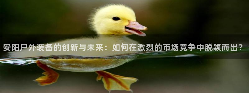 新宝gg一创造奇迹