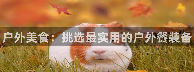 新宝gg找回账号