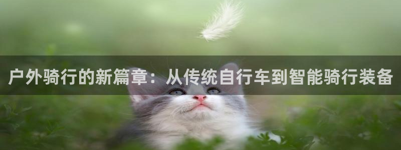 新宝gg 首页