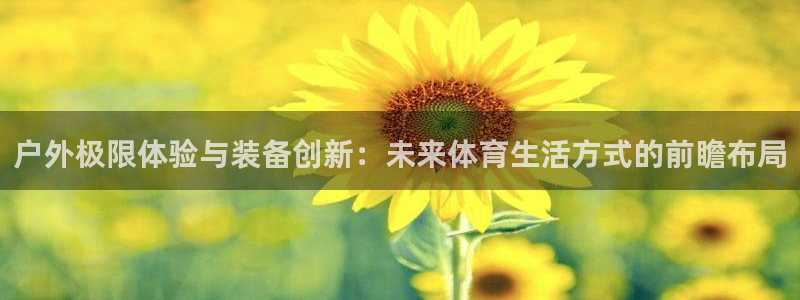 新宝GG勒55312
