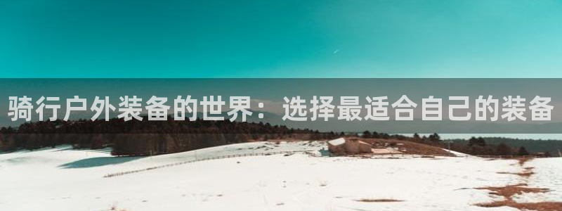 新宝gg论坛