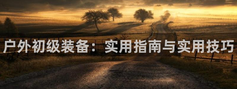 新宝gg官方下载