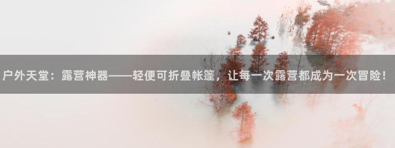 新宝gg盈亏