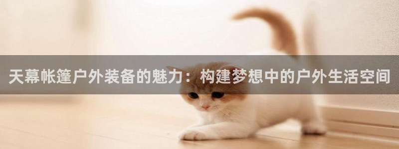 新宝gg娱乐盟主