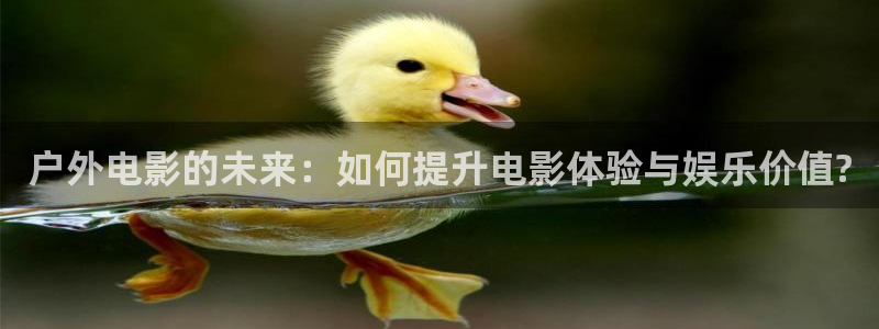 新宝gg平台连接