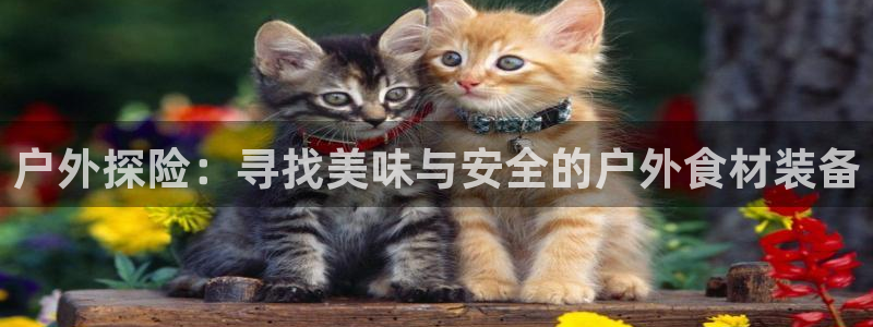 新宝gg 奇迹