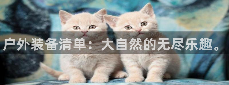 新宝gg开