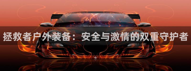 广东新宝电器gg