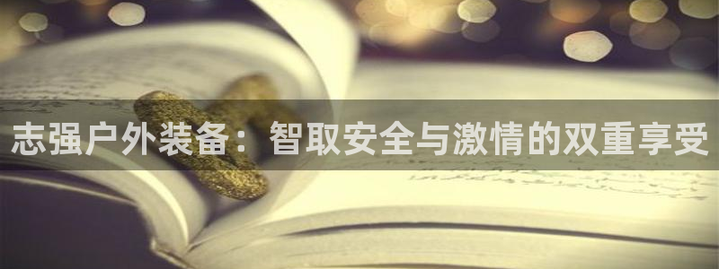 新宝gg作弊