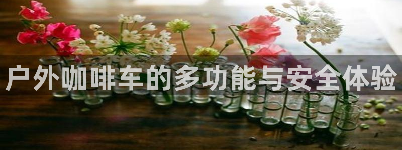 新宝太阳gg