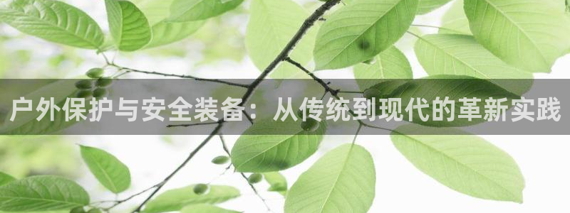 新宝gg开户流程
