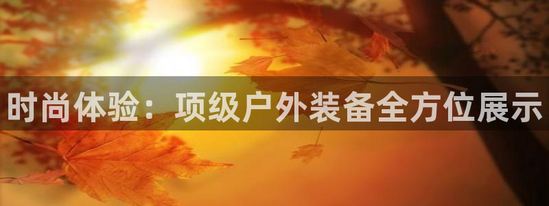 认准新宝gg