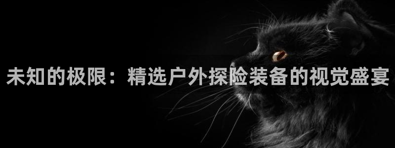 新宝gg登陆平台