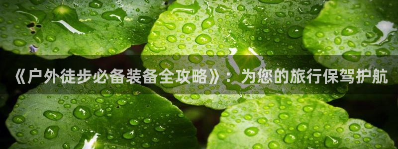 新宝gg直属上级